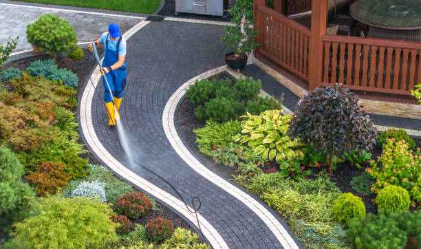 Best Local Pressure Washing Services  in Rock Hill, MO